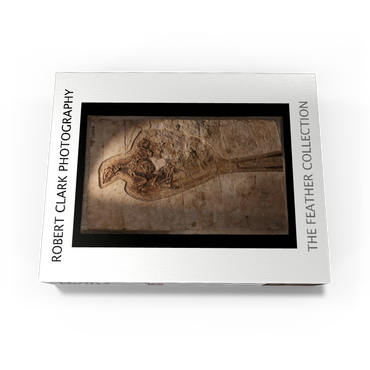 Confuciusorinis 1000 Jigsaw Puzzle box view1