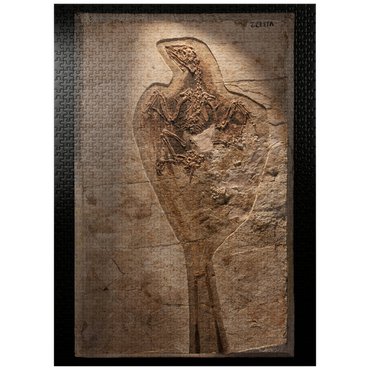 puzzleplate Confuciusorinis 1000 Jigsaw Puzzle