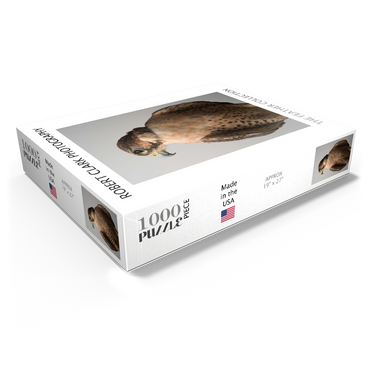 Saker Falcon 1000 Jigsaw Puzzle box view1