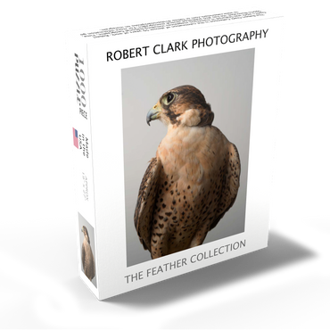 Saker Falcon 1000 Jigsaw Puzzle box view1