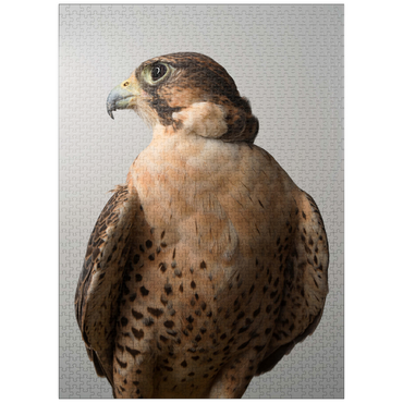 puzzleplate Saker Falcon 1000 Jigsaw Puzzle