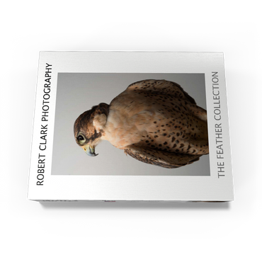 Saker Falcon 100 Jigsaw Puzzle box view1