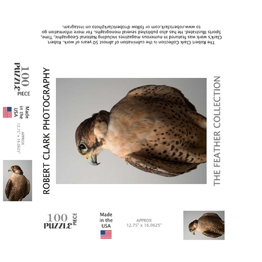 Saker Falcon 100 Jigsaw Puzzle box 3D Modell