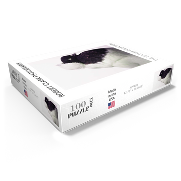 Well Pigeon 100 Jigsaw Puzzle box view1