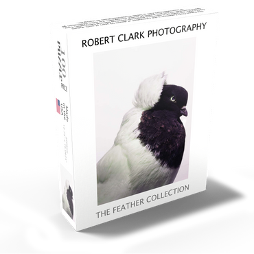 Well Pigeon 100 Jigsaw Puzzle box view1