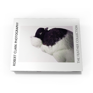 Well Pigeon 500 Jigsaw Puzzle box view1