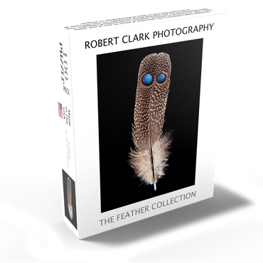 Grey Peacock-Pheasant, further away 100 Jigsaw Puzzle box view1