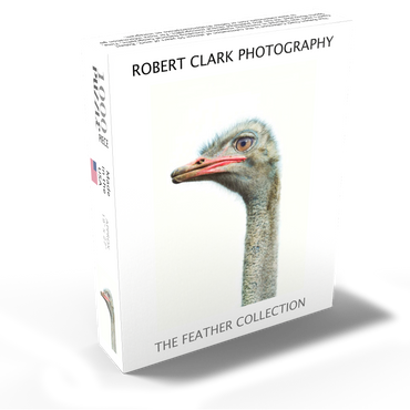 Ostrich Head 1000 Jigsaw Puzzle box view1