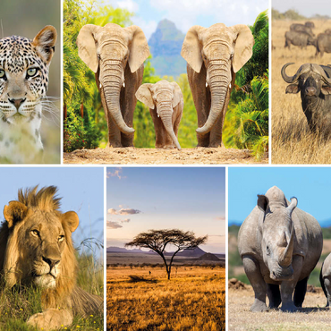 Africa Safari - Lion, Elephant, Leopard, Rhino, Buffalo 100 Jigsaw Puzzle 3D Modell