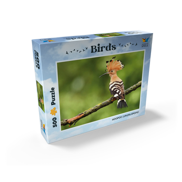 Hoopoe - Bird of the Year 2022 500 Jigsaw Puzzle box view1