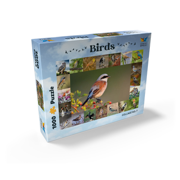 Birds of the year - Collage No.7 - Main subject: Red-backed Shrike 1000 Jigsaw Puzzle box view1
