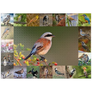 puzzleplate Birds of the year - Collage No.7 - Main subject: Red-backed Shrike 1000 Jigsaw Puzzle