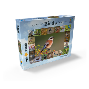Birds of the year - Collage No.7 - Main subject: Red-backed Shrike 100 Jigsaw Puzzle box view1