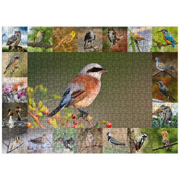 puzzleplate Birds of the year - Collage No.7 - Main subject: Red-backed Shrike 500 Jigsaw Puzzle