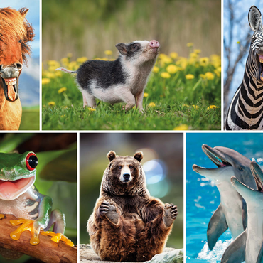 Funny animals - Collage No. 3 1000 Jigsaw Puzzle 3D Modell