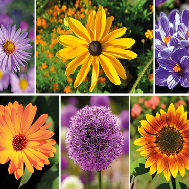 Colorful flowers collage No. 4 in spring and summer 100 Jigsaw Puzzle 3D Modell