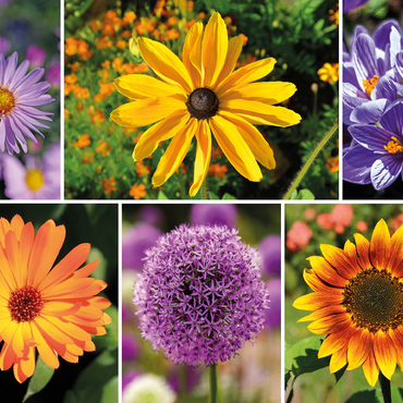 Colorful flowers collage No. 4 in spring and summer 500 Jigsaw Puzzle 3D Modell