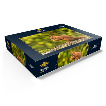 Red Squirrel Eating a Nut in the Forest 300 Jigsaw Puzzle box view1