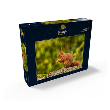 Red Squirrel Eating a Nut in the Forest 300 Jigsaw Puzzle box view2