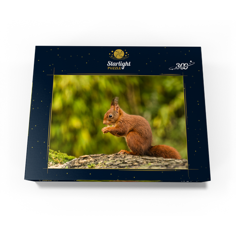 Red Squirrel Eating a Nut in the Forest 300 Jigsaw Puzzle box view3