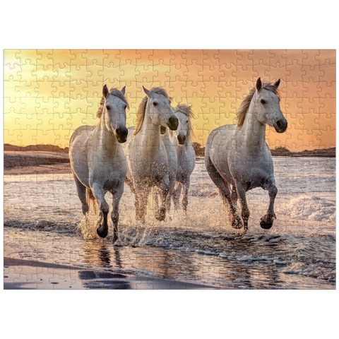 puzzleplate White Camargue Horses Galloping on a Beach in France 300 Jigsaw Puzzle