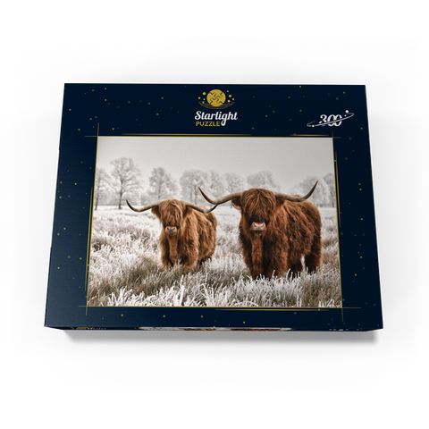 Hairy Scottish Highland cattle in a winter landscape 300 Jigsaw Puzzle box view3