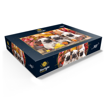 Pug puppies 300 Jigsaw Puzzle box view1