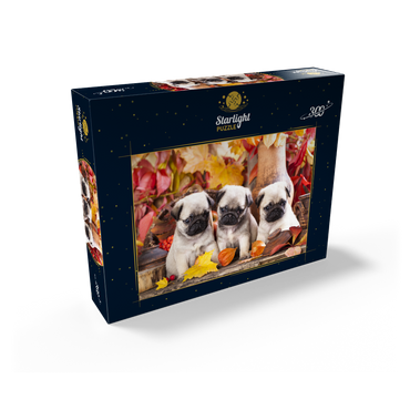 Pug puppies 300 Jigsaw Puzzle box view2