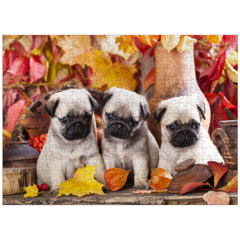 puzzleplate Pug puppies 300 Jigsaw Puzzle