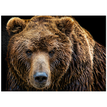 puzzleplate Brown bear Ursus arctos beringianus 300 Jigsaw Puzzle