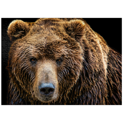 puzzleplate Brown bear Ursus arctos beringianus 300 Jigsaw Puzzle
