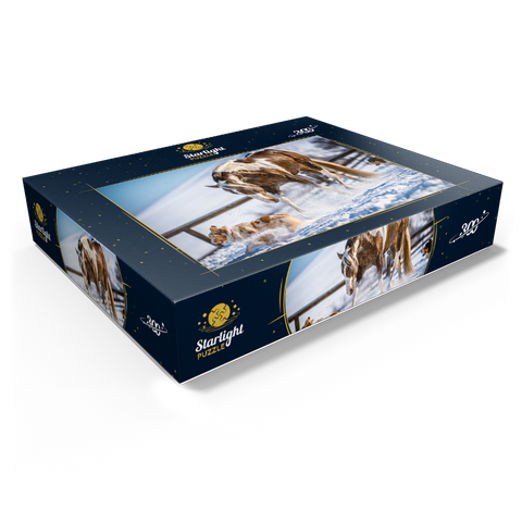 American Paint Horse on snow 300 Jigsaw Puzzle box view1