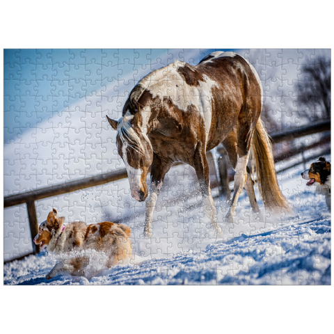 puzzleplate American Paint Horse on snow 300 Jigsaw Puzzle