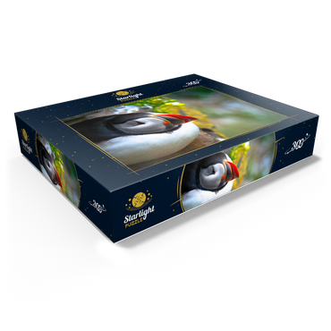 Puffin on a rock West Iceland Fjord 300 Jigsaw Puzzle box view1
