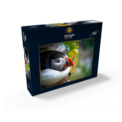 Puffin on a rock West Iceland Fjord 300 Jigsaw Puzzle box view2