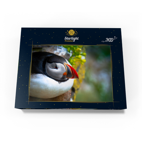 Puffin on a rock West Iceland Fjord 300 Jigsaw Puzzle box view3