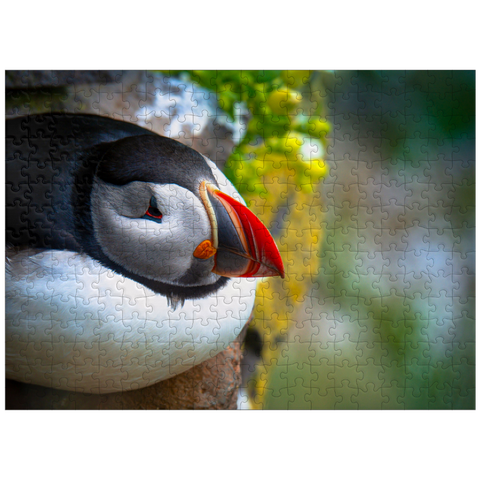 puzzleplate Puffin on a rock West Iceland Fjord 300 Jigsaw Puzzle