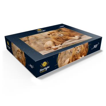 A lion relaxing on a stone 300 Jigsaw Puzzle box view1