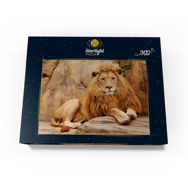 A lion relaxing on a stone 300 Jigsaw Puzzle box view3
