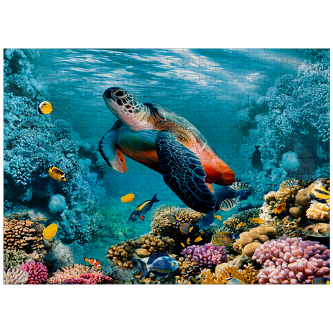 puzzleplate Underwater world with turtle and corals 300 Jigsaw Puzzle