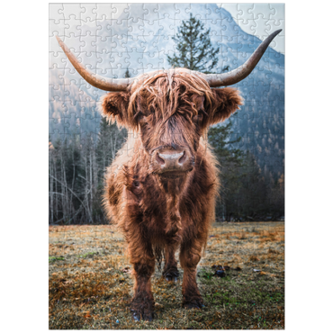 puzzleplate Highland cattle in the Italian Dolomites 300 Jigsaw Puzzle