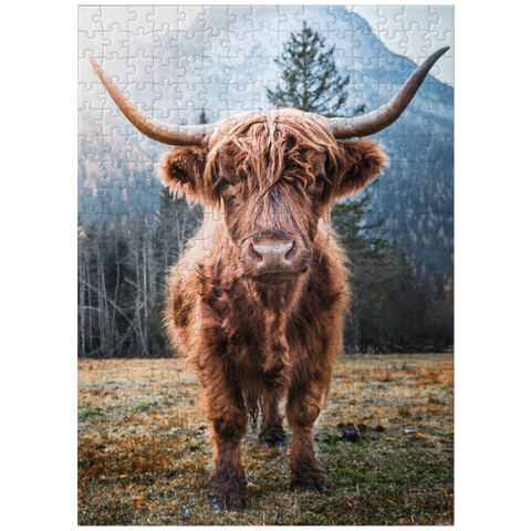 puzzleplate Highland cattle in the Italian Dolomites 300 Jigsaw Puzzle