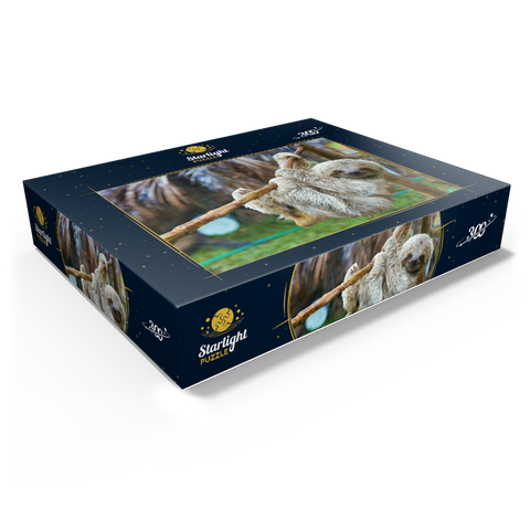 Sloths at San Jose Rescue Center Costa Rica 300 Jigsaw Puzzle box view1