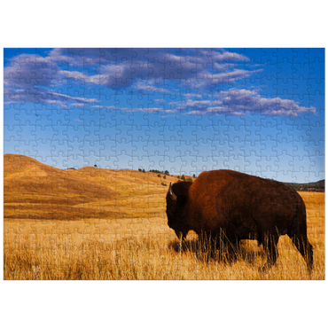 puzzleplate Bison / buffalo running in the rolling hills of the prairie 300 Jigsaw Puzzle