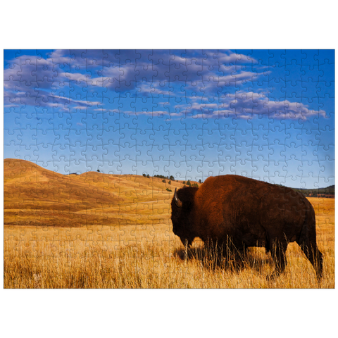 puzzleplate Bison / buffalo running in the rolling hills of the prairie 300 Jigsaw Puzzle