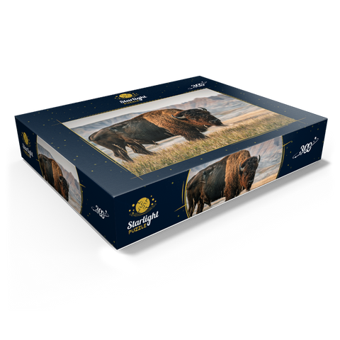 American Bison in South Dakota 300 Jigsaw Puzzle box view1