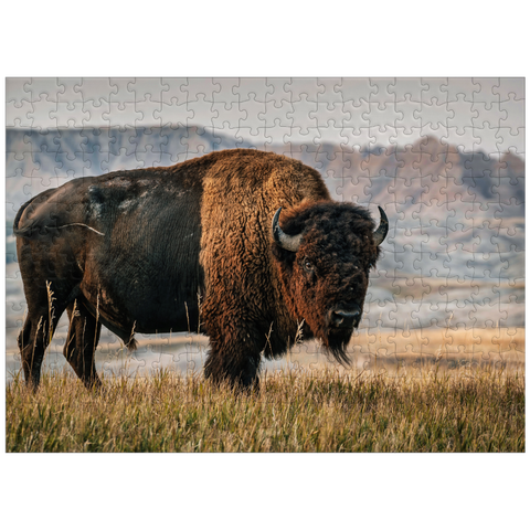 puzzleplate American Bison in South Dakota 300 Jigsaw Puzzle