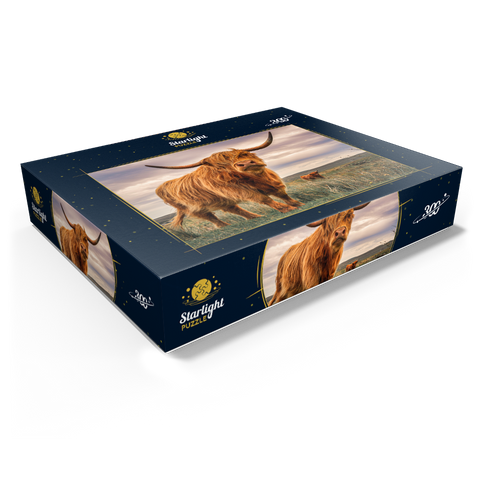 Strict pair of Highland cows caught on the north coast of Scotland 300 Jigsaw Puzzle box view1