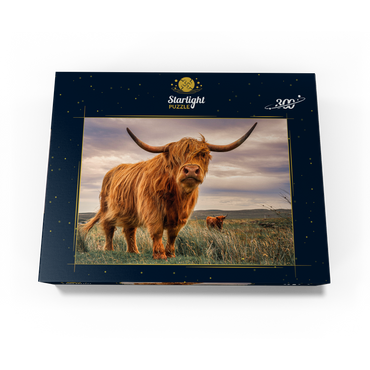 Strict pair of Highland cows caught on the north coast of Scotland 300 Jigsaw Puzzle box view3