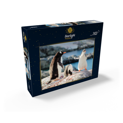 Strongster Gentoo Penguin Cute Funny Baby Chick Mama Penguins Colony Cold Wild Life Creatures Antarctica 300 Jigsaw Puzzle box view2